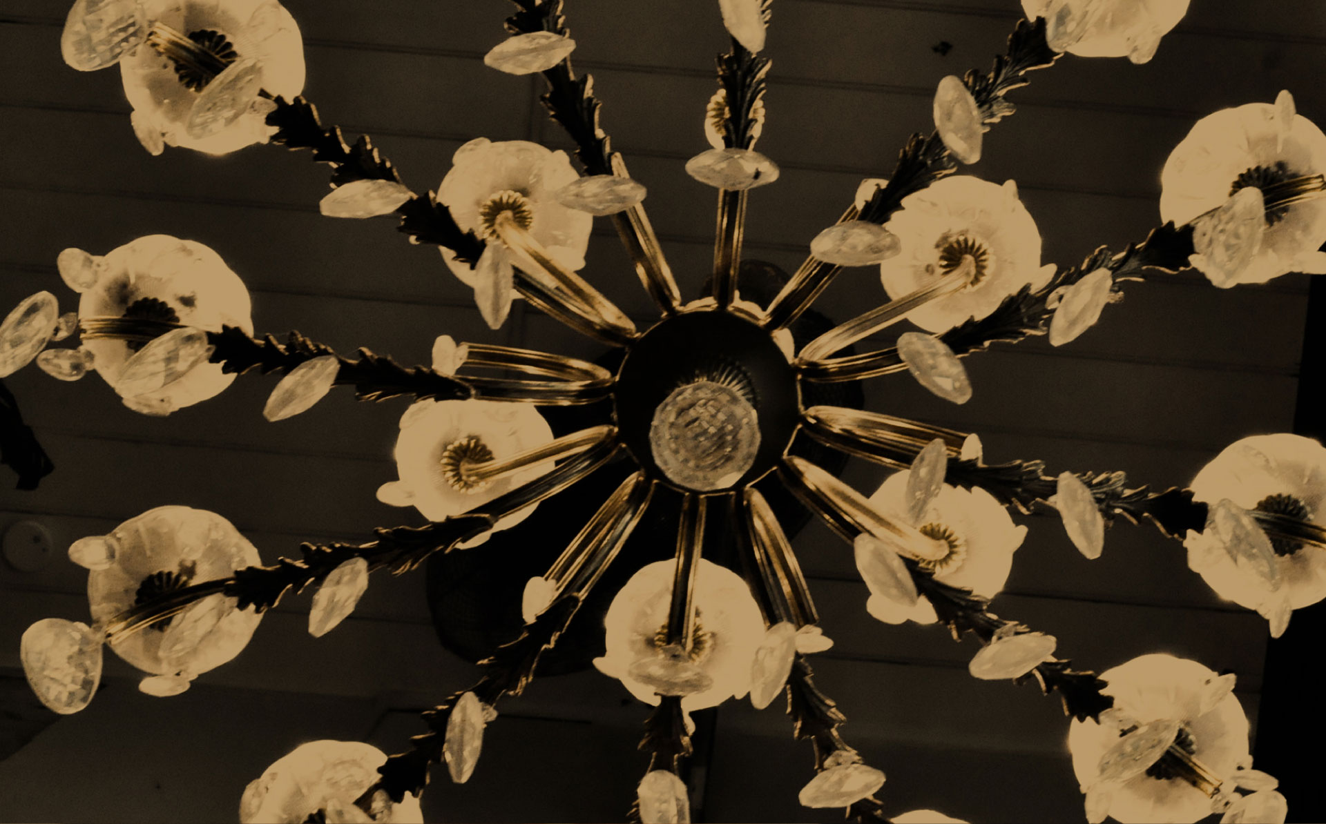 Hairdresser Fitzroy Melbourne